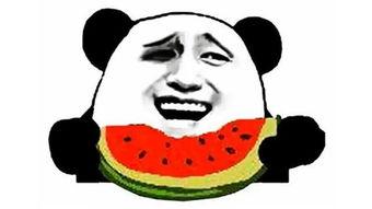 吃瓜幽默,那些让人捧腹的吃瓜瞬间