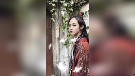 吃瓜少女写真古装视频,古装美少女写真视频大揭秘