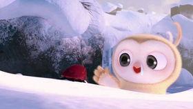 吃瓜搞笑观察视频下载