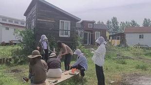 吃瓜狗蛋,揭秘娱乐圈的幕后故事